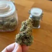 Auto with very rough start