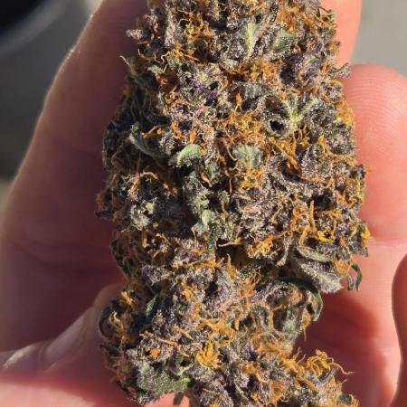 Frostbanger Auto