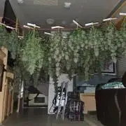 GuavaSundae Auto