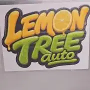 LemonTreeAuto