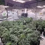 Z-Up Auto