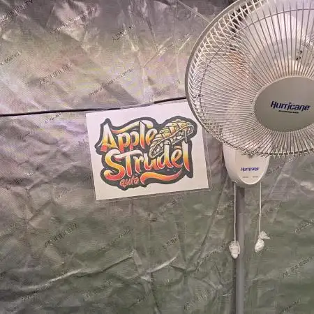 AppleStrudelAuto
