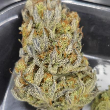 GuavaAuto(RF3)