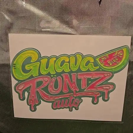 GuavaRuntzAuto