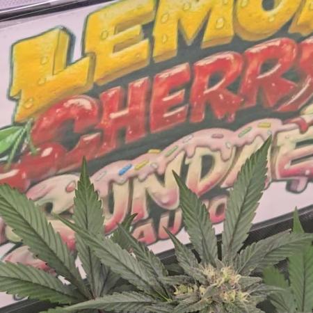 LemonCherrySundaeAuto