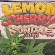 LemonCherrySundaeAuto