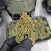 CherryColaAuto (RF3)