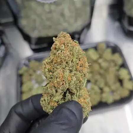 CherryColaAuto (RF3)