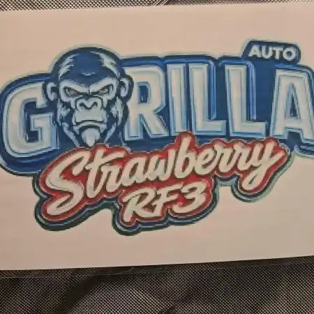 StrawberryGorillaAuto(RF3)
