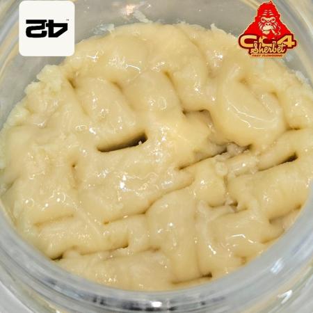 GG4/Sherbet Fast Flowering