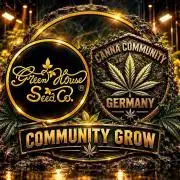 CCG / GHS Projekt