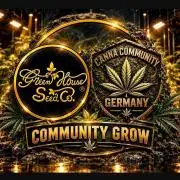 CCG / GHS Projekt