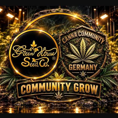 CCG / GHS Projekt