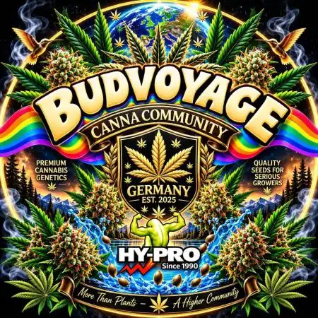 BudVoyage&CCG 2026