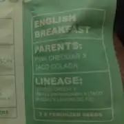 grounded-genetics english Breakfast