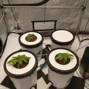 Hydro