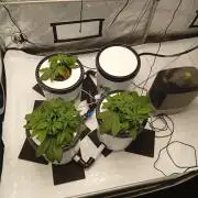 Hydro