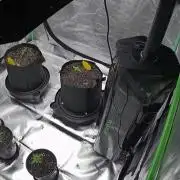 4 photos/5 autos