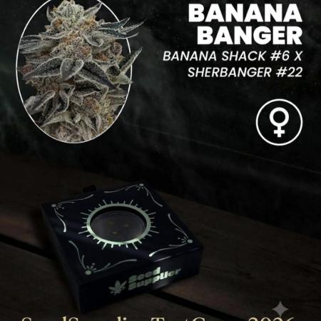 Banana Banger Testgrow 26