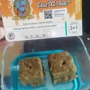 Orange Apricot Glue XL auto SEP 2026
