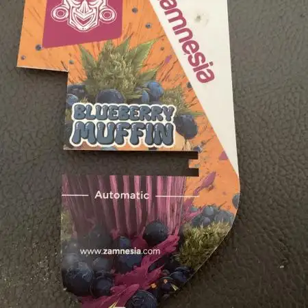 Blueberry muffin auto