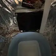 Stromboli Auto