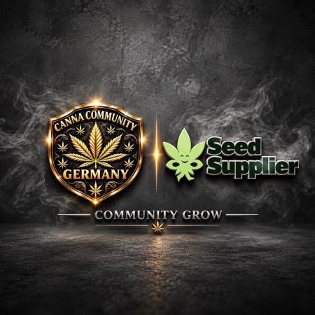 CCG X Seed Supplier