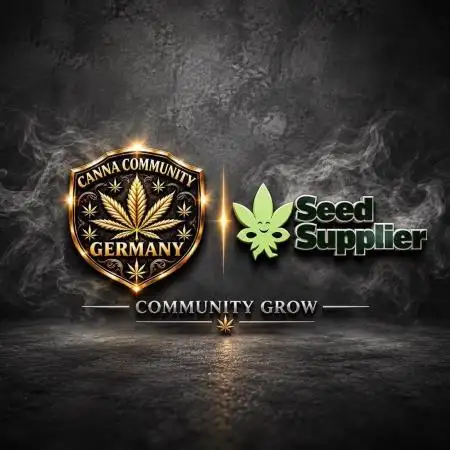 CCG X Seed Supplier