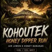 Community Grow Honey Dipper