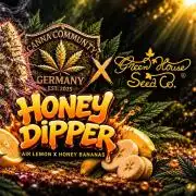 Community Grow Honey Dipper