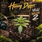 Community Grow Honey Dipper
