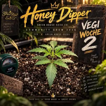 Community Grow Honey Dipper