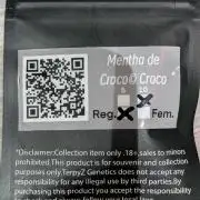2x Terpyz Mutant - Mentha de Croco fern