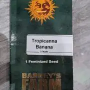 1x Barneys Tropicanna Banana