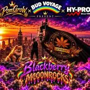 CCG RUN BUD VOYAGE
