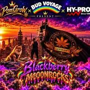 CCG RUN BUD VOYAGE