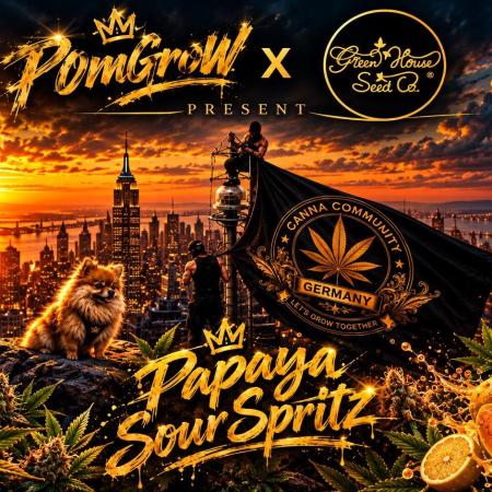 Community grow Papaya Sour Spritz