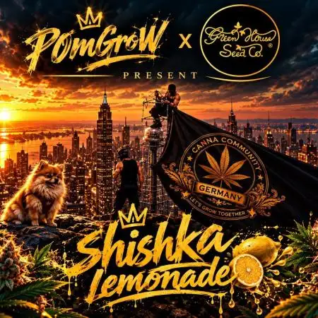 Community grow Shishka Lemonade