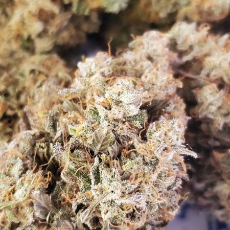 Trainwreck