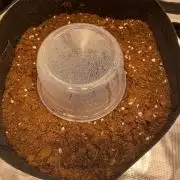First time - fingers crossed!