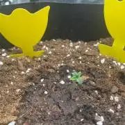 First time - fingers crossed!
