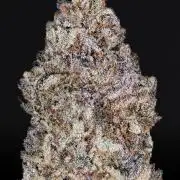 Crimson Skies (Skylimes x Red Velvet)