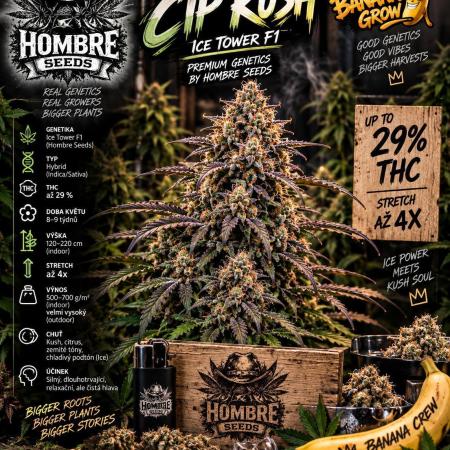 Hombre seeds cip