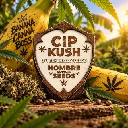 Hombre seeds cip