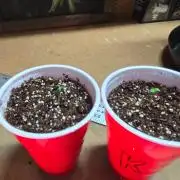 First Ever Grow - Here Goes Nothing