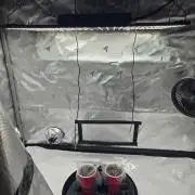 First Ever Grow - Here Goes Nothing
