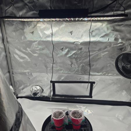 First Ever Grow - Here Goes Nothing