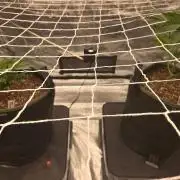 Juanye's Titan Grow