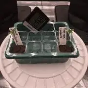 Juanye's Titan Grow