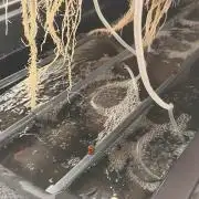 Aero/DWC Custome Legal German Grow